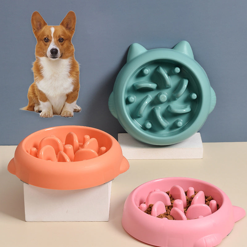 Anti Choking Slow Feeder Bowls - Zayd’s Department Store