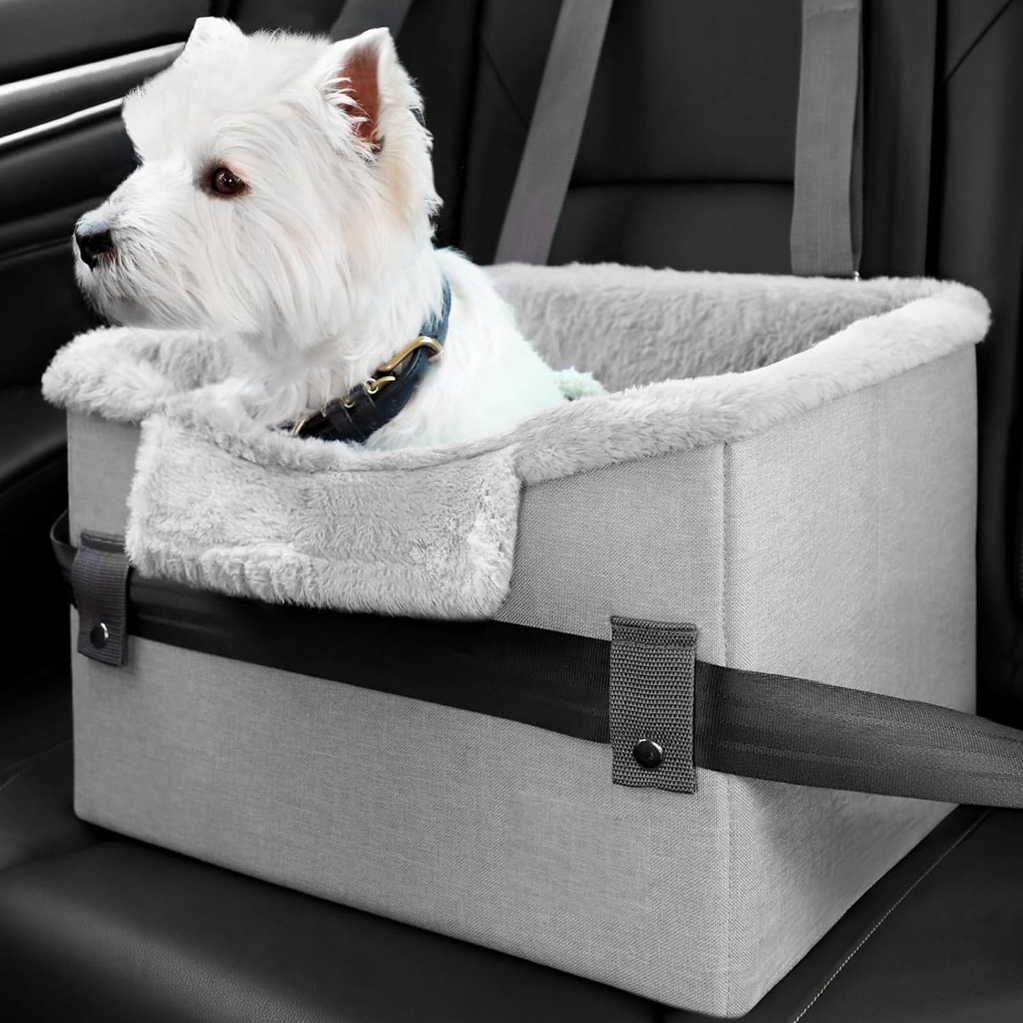 Portable Booster Seat With Clip-On Safety Leash - Zayd’s Department Store