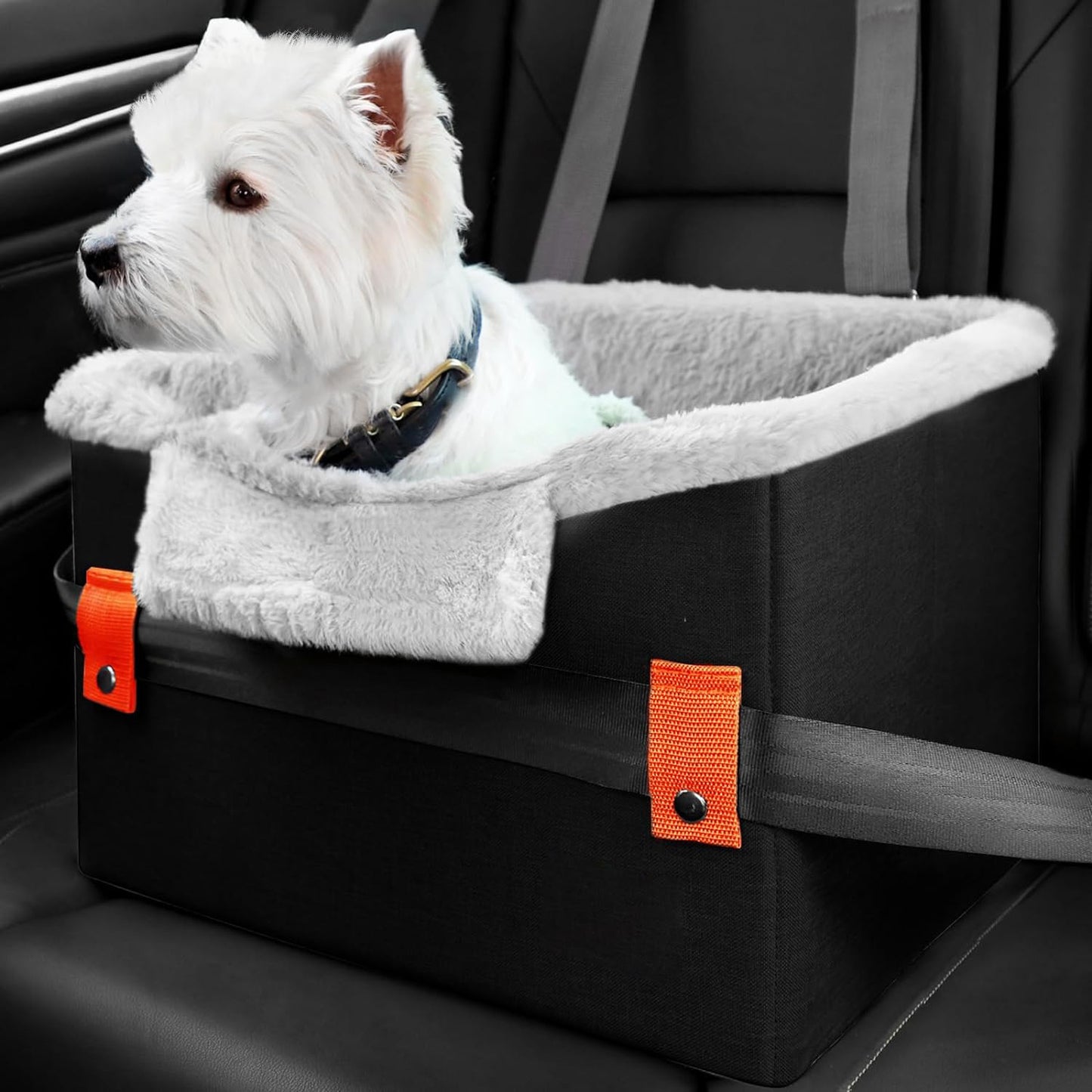 Portable Booster Seat With Clip-On Safety Leash - Zayd’s Department Store