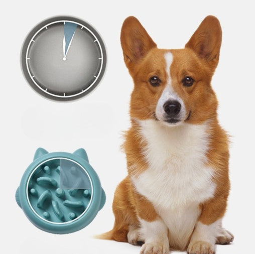 Anti Choking Slow Feeder Bowls - Zayd’s Department Store