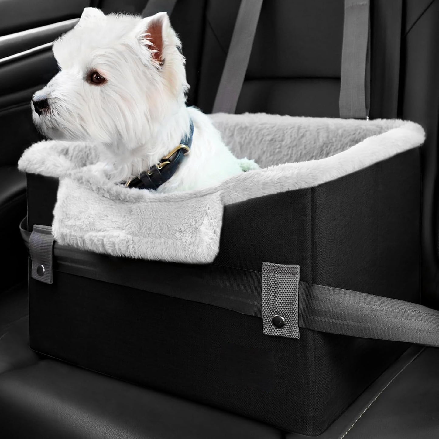 Portable Booster Seat With Clip-On Safety Leash - Zayd’s Department Store