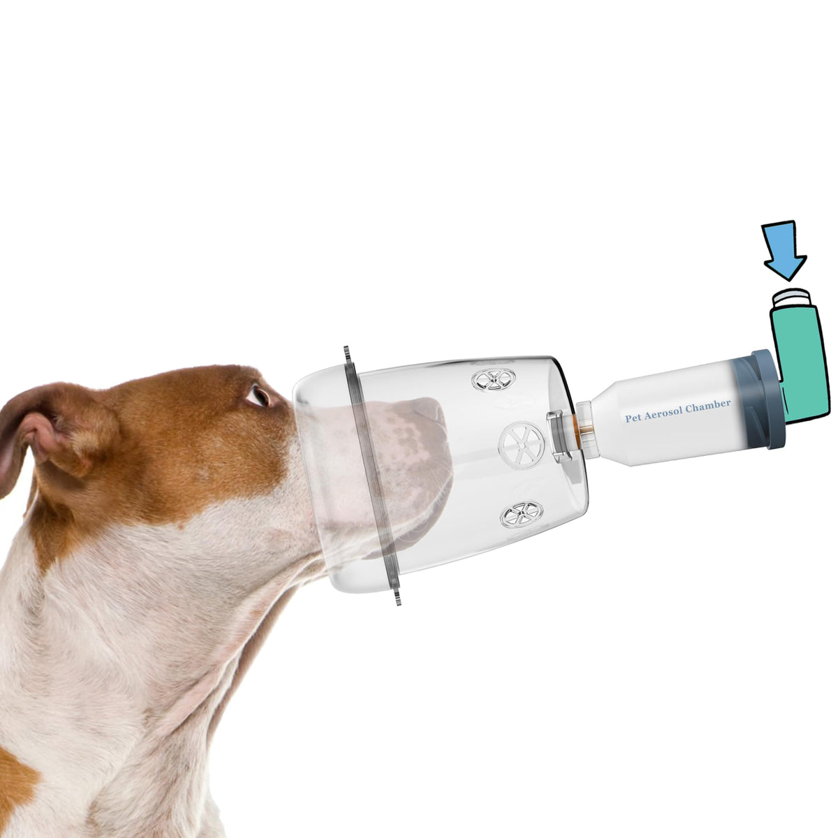 Aerosol Chamber Inhaler Spacer for Cats, Dogs, Horse and Other Wildlife (L- Large Dogs)