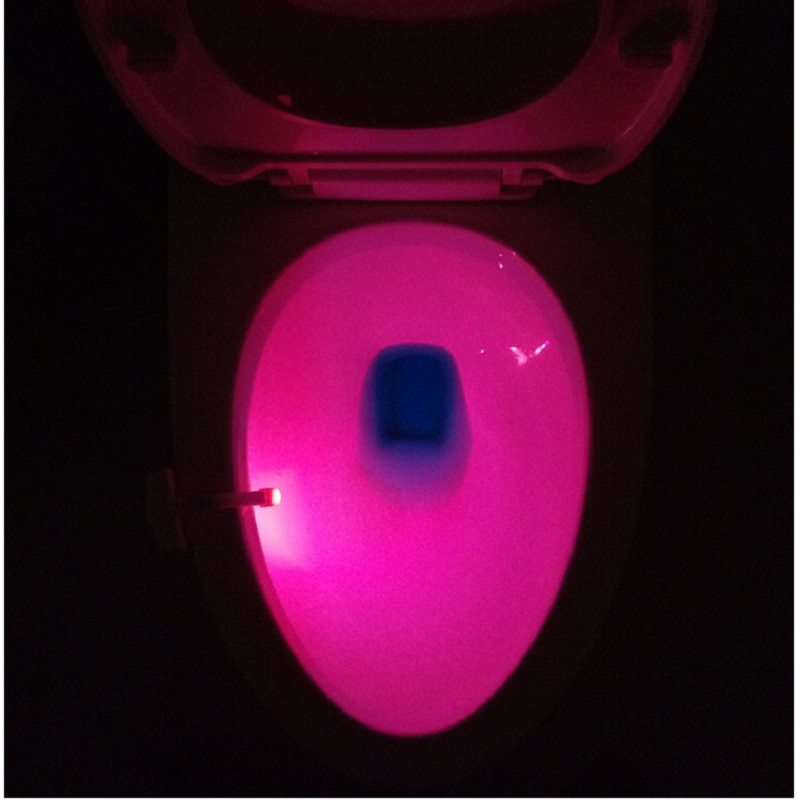 Toilet Induction LED Night Light - Zayd’s Department Store