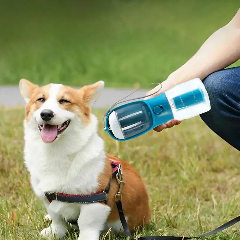 3 in 1 Small Multi-functional Pet Cups - Zayd’s Department Store