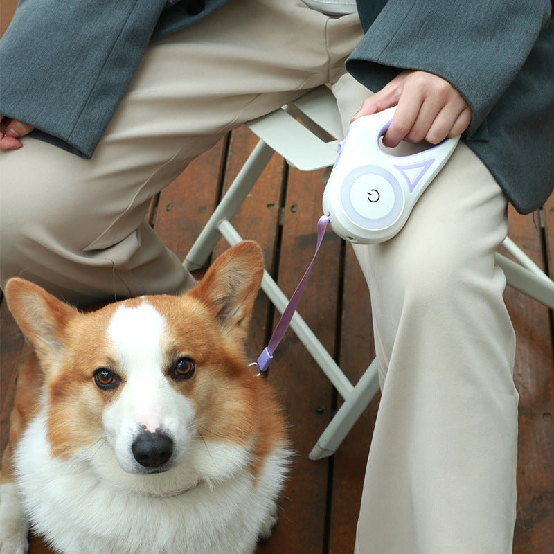 Dog Leash Retractable Leash And Dog Collar Spotlight Automatic Pet Dog Cat Traction Rope For Small Medium Dogs Pet Product - Zayd’s Department Store