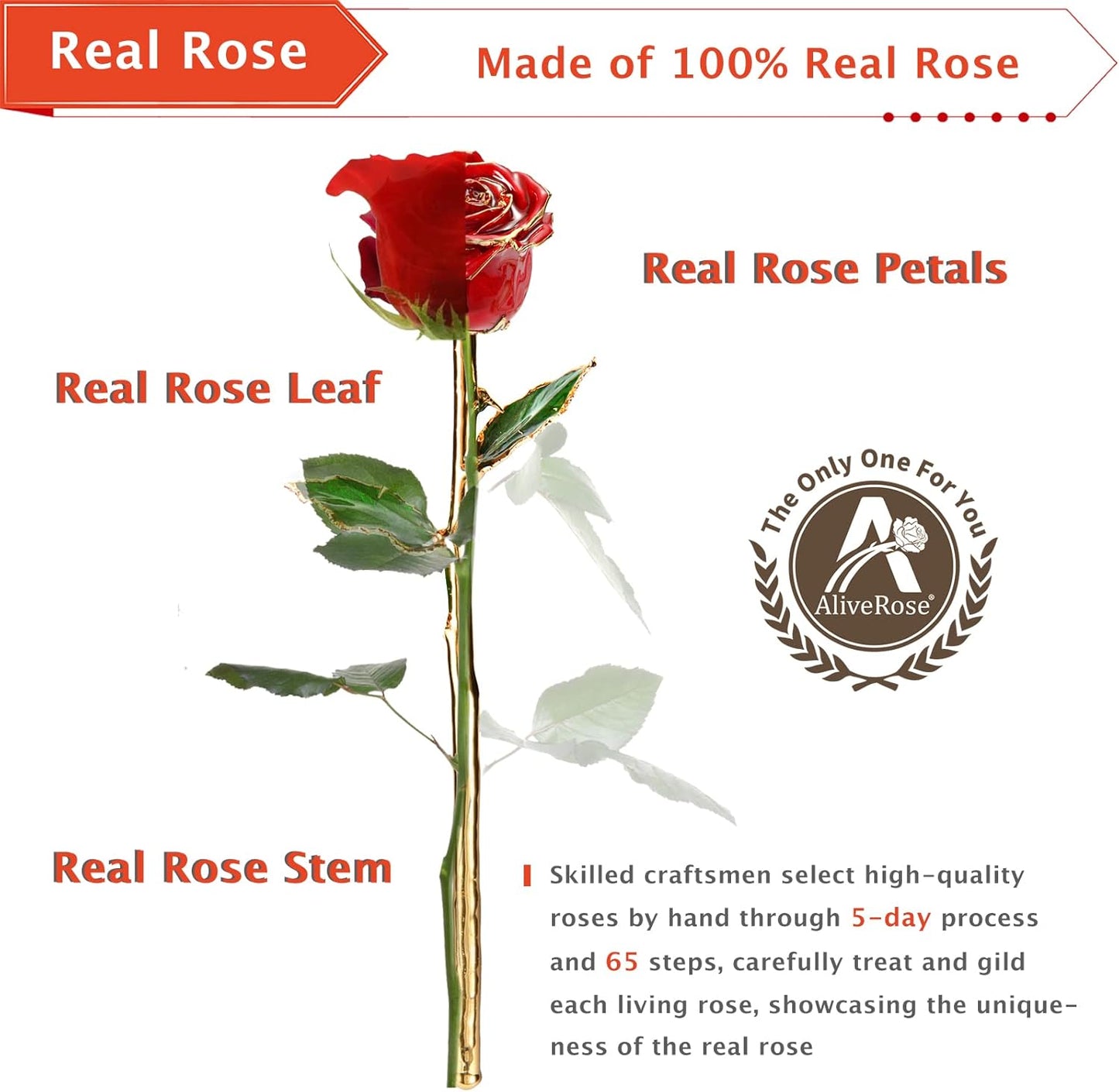 Valentines Day Gifts for Her - 24K Gold Rose Made from Real Rose, Unique Design Gold Plated for Anniversary (Red Original with Stand) - Zayd’s Department Store