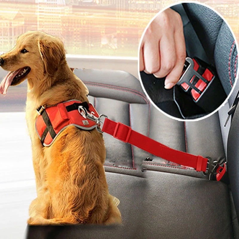 Ceinture de sécurité réglable pour animaux de compagnie