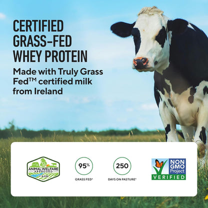 Whey+ Protein Whey Isolate from Grass Fed Cows (Chocolate, 60 Servings) - Whey Protein Isolate Powder, Low Calorie, Non-Gmo, Sugar Free, Lactose and Gluten Free, All Natural Protein Powder