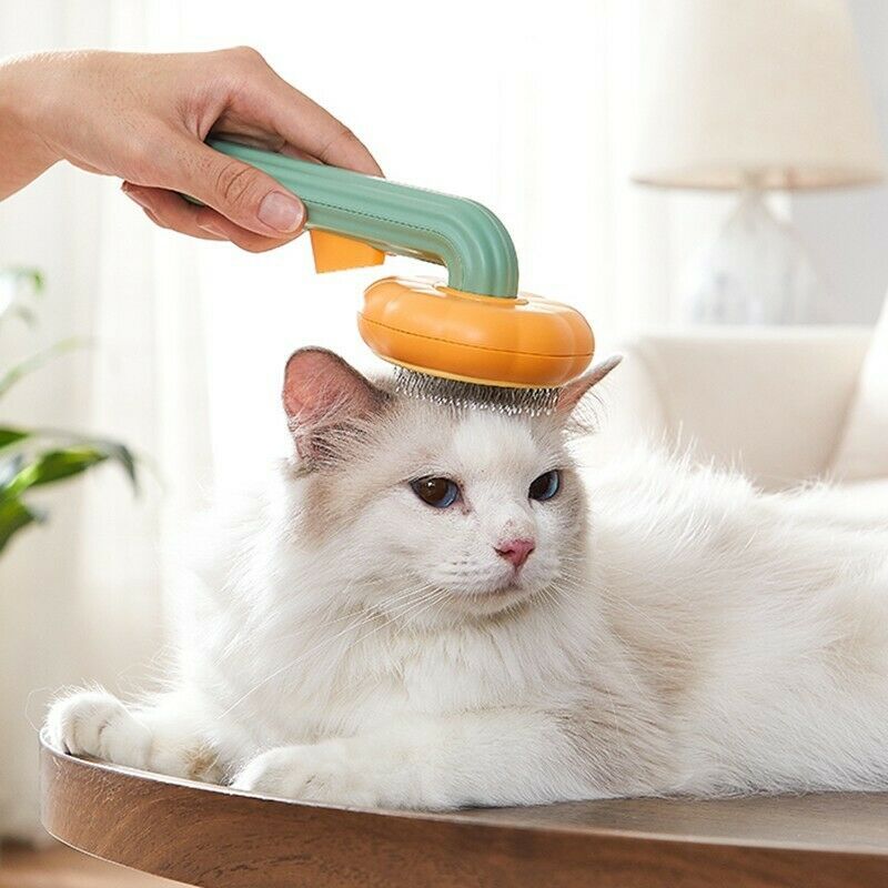 Brosse à citrouille pour animaux de compagnie, brosse autonettoyante pour chiens, chats, chiots, lapins, brosse de toilettage pour chats, élimine en douceur les sous-poils lâches, les tapis et les poils emmêlés