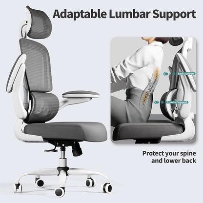 Ergonomic Office Chair