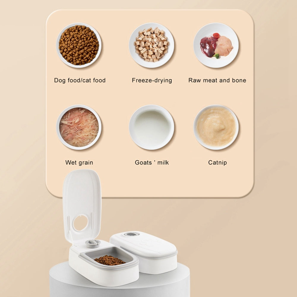 Smart Food Dispenser For Pet