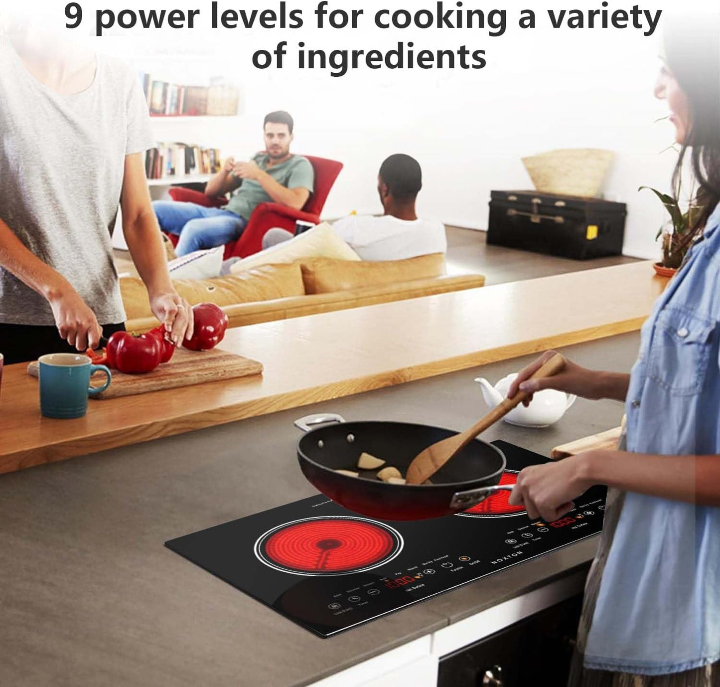 2 Burners Electric Cooktop 110V, 24" Built-In & Countertop Stove
