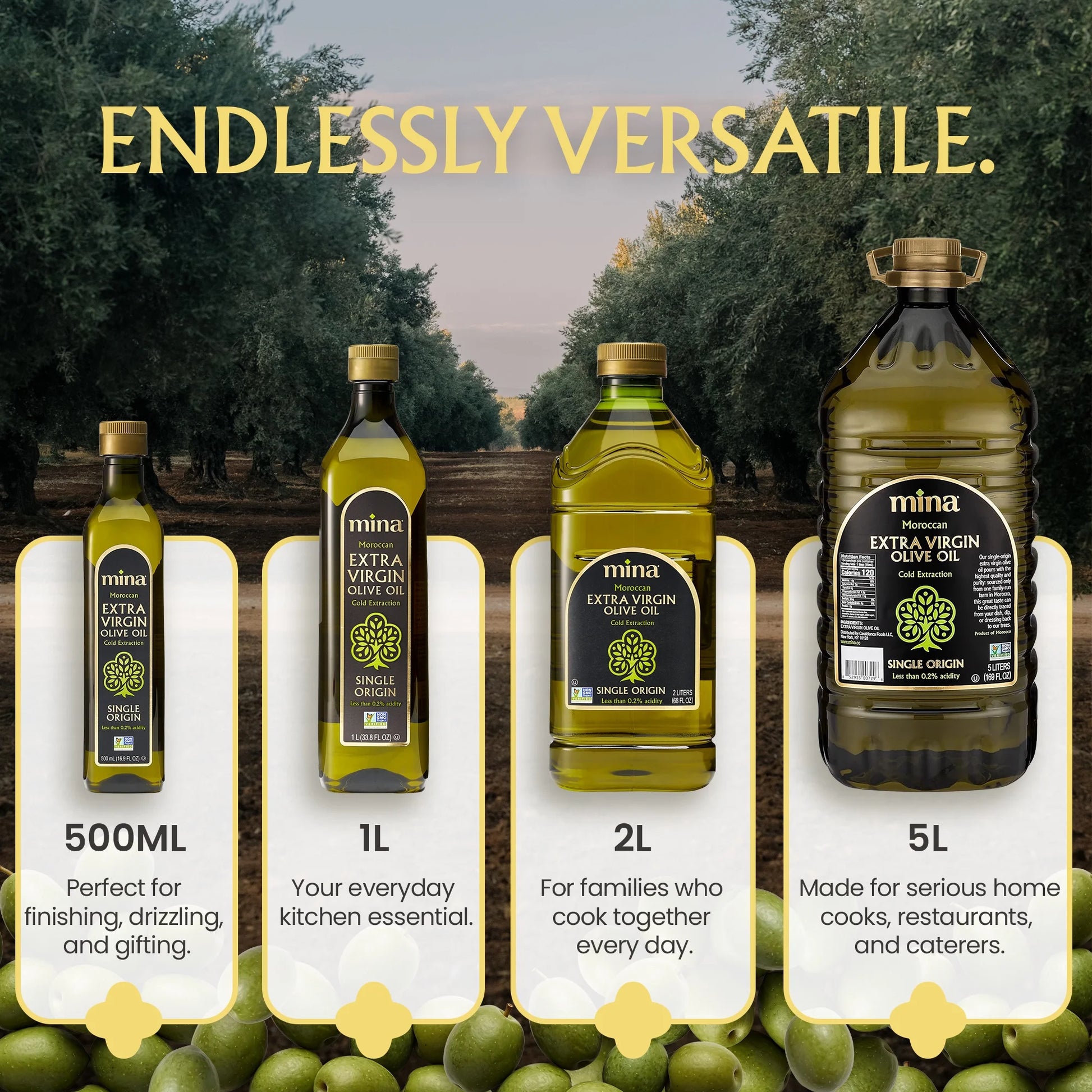 Moroccan Olive Oil Extra Virgin, 68 Fl Oz, High Polyphenol Olive Oil, Single Origin Olive Oil