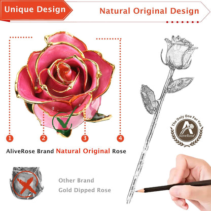 Roses, 24K Gold Rose Made from Real Rose - Unique Design Gold Plated Rose for Anniversary Valentines Mothers Day Birthday Gifts (Pink Original Rose with Stand)