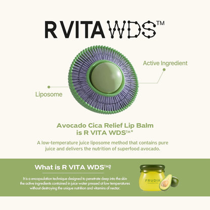 Avocado Cica Relief Vegan Lip Balm, Hydrating & Moisturizing Organic Korean Lip Balm Made with Shea Butter & Centella Asiatica for Soft & Smooth Lips (0.33 Fl Oz)