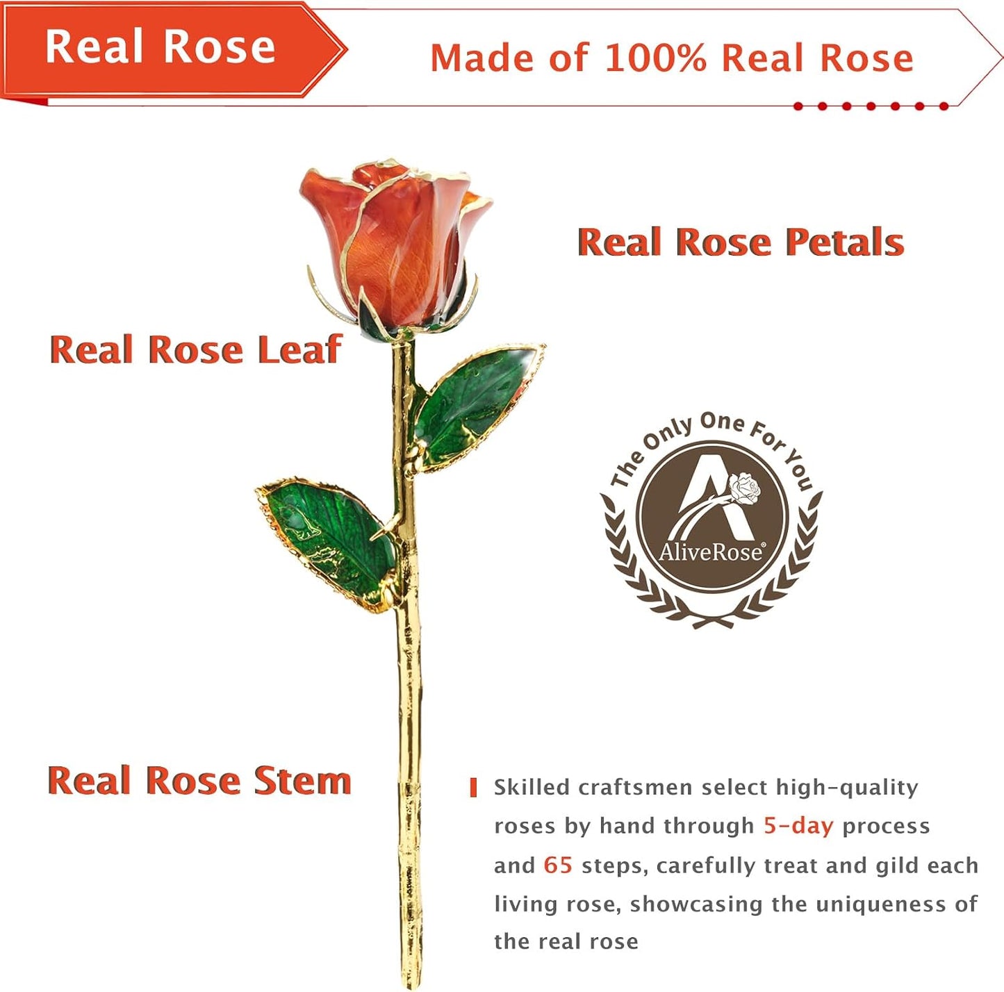 Gold Dipped Rose, 24K Gold Rose Made from Real Rose - Unique Design Gold Plated Rose for Anniversary Valentines Mothers Day Birthday Gifts (Orange Original with Crystal Vase)