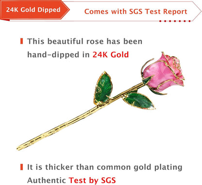 Roses, 24K Gold Rose Made from Real Rose - Unique Design Gold Plated Rose for Anniversary Valentines Mothers Day Birthday Gifts (Pink Original Rose with Stand)