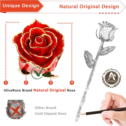 Gold Dipped Rose, 24K Gold Rose Made from Real Rose - Unique Design Gold Plated Rose for Anniversary Valentines Mothers Day Birthday Gifts (Orange Original with Crystal Vase)