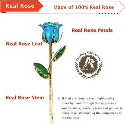 for Her, 24K Gold Rose Made from Real Rose - Unique Design Gold Plated Rose for Anniversary Valentines Mothers Day Birthday Gifts (Tealblue Original Rose with Crystal Vase)