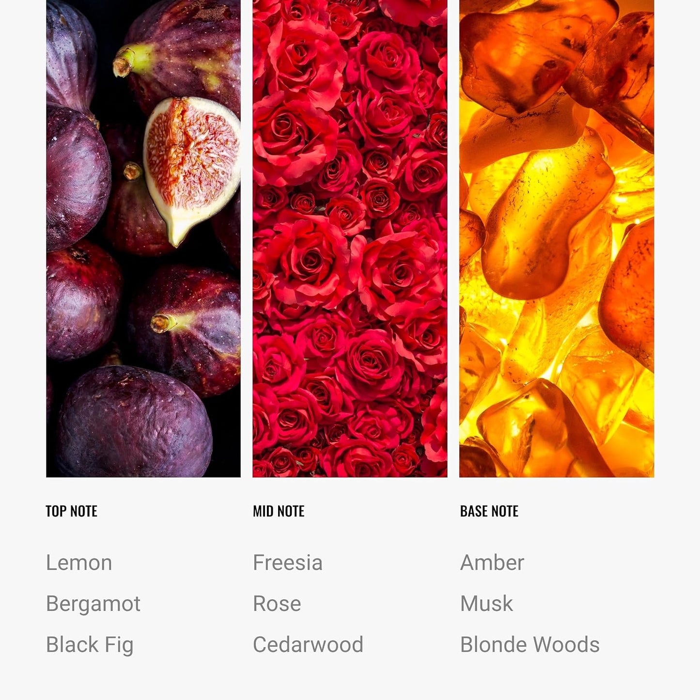 Hotel Collection - Black Velvet Fragrance Oil for Home Diffusers, 120 Ml