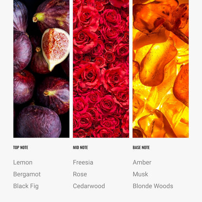 Hotel Collection - Black Velvet Fragrance Oil for Home Diffusers, 120 Ml