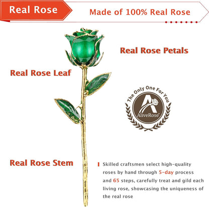 Gold Dipped Rose, 24K Gold Rose Made from Real Rose - Unique Design Gold Plated Rose for Anniversary Valentines Mothers Day Birthday Gifts (Green Original with Stand)