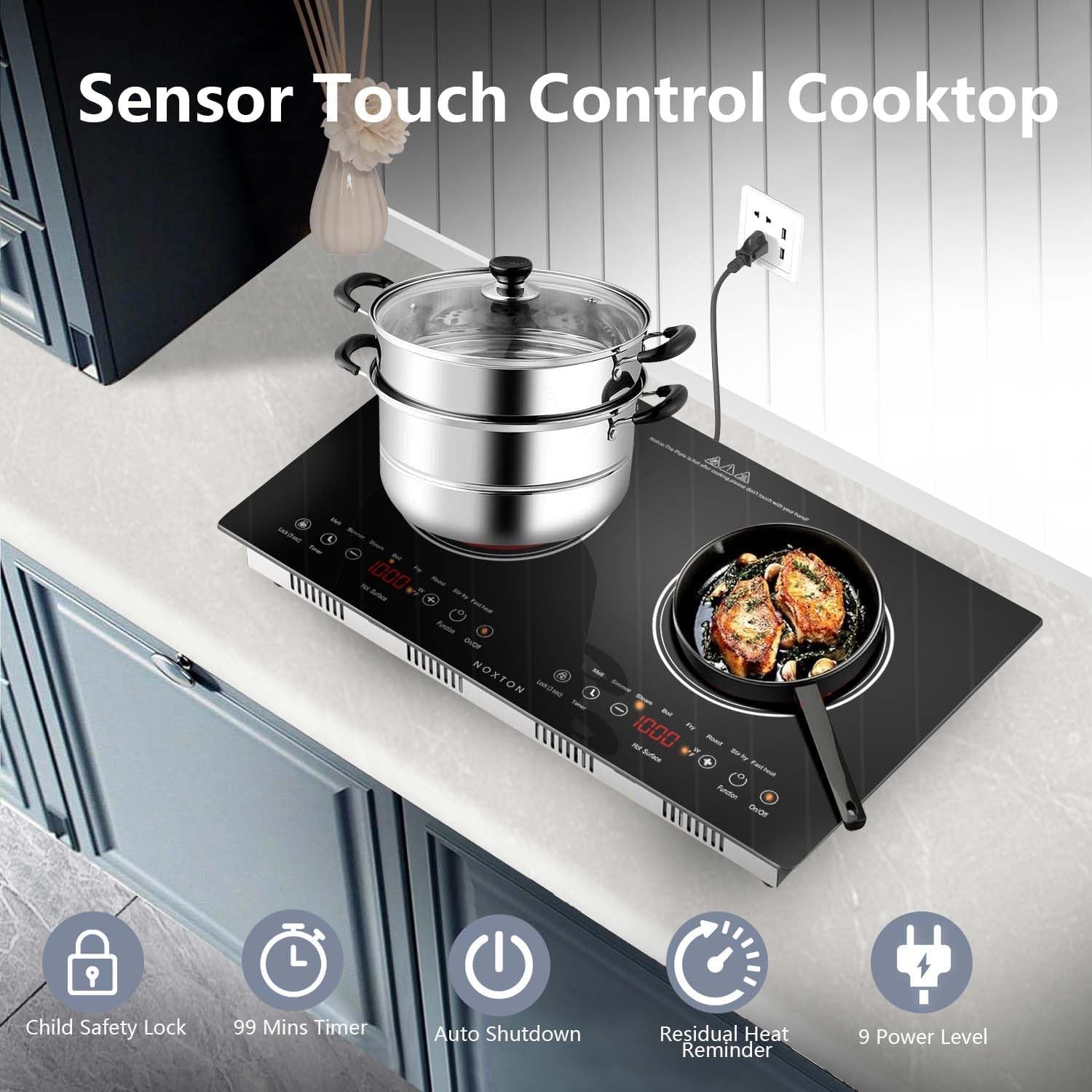 2 Burners Electric Cooktop 110V, 24" Built-In & Countertop Stove