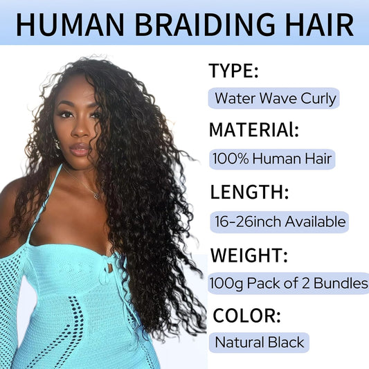 Human Braiding Hair for Boho Braids 26Inch 100% Human Hair Water Wave Bulk Braiding Knotless No Weft Curly Bundles Human Hair Wet and Wavy Micro Hair Extensions Bulk 2 Bundles 100G Hair Natural Color