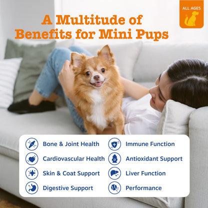 8-In-1 Multivitamin Mini Bites Chicken Flavor Dog Supplement, 90 Count
