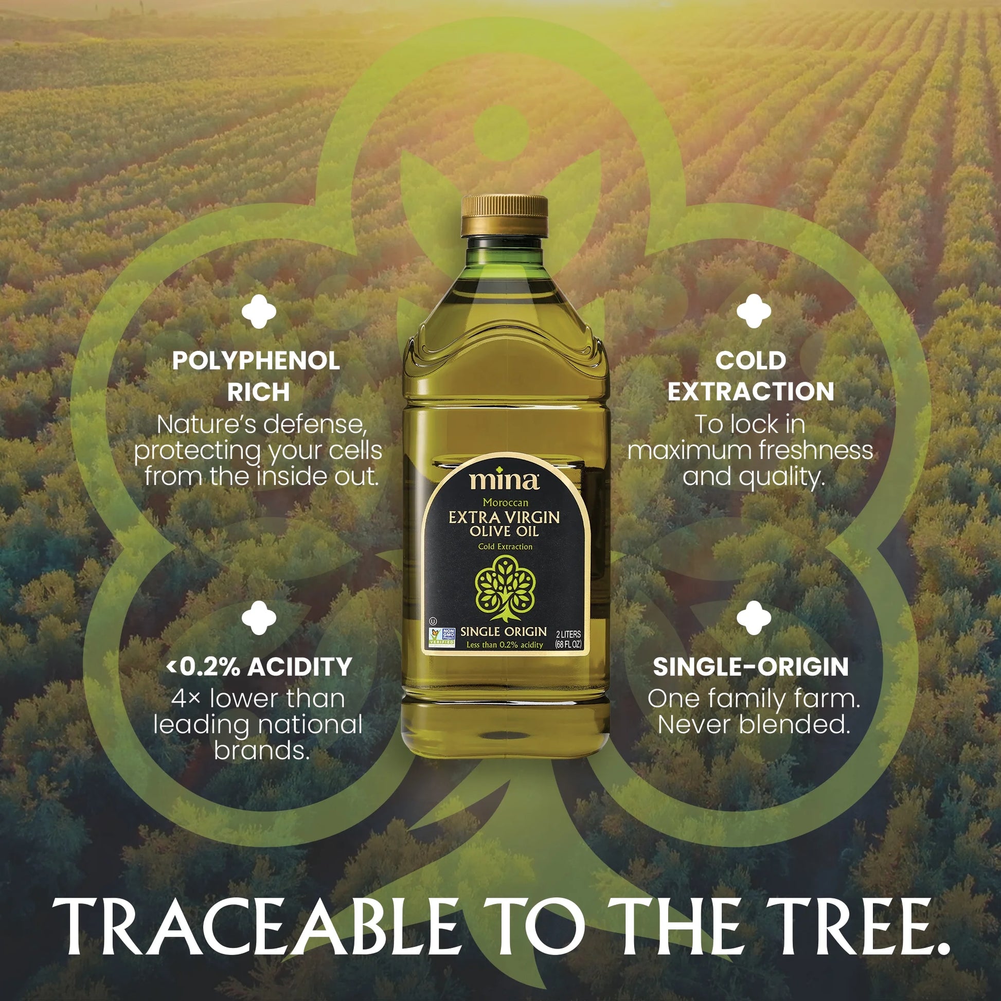 Moroccan Olive Oil Extra Virgin, 68 Fl Oz, High Polyphenol Olive Oil, Single Origin Olive Oil
