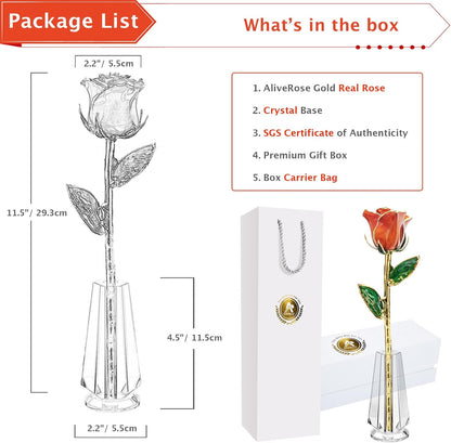 Gold Dipped Rose, 24K Gold Rose Made from Real Rose - Unique Design Gold Plated Rose for Anniversary Valentines Mothers Day Birthday Gifts (Orange Original with Crystal Vase)