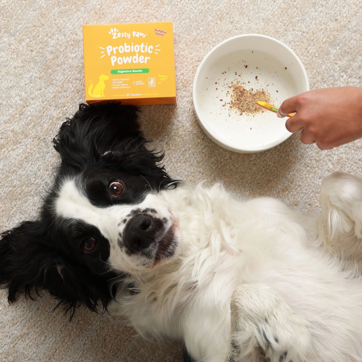 Probiotic Powder Pumpkin Flavor Dog Supplement, 150G