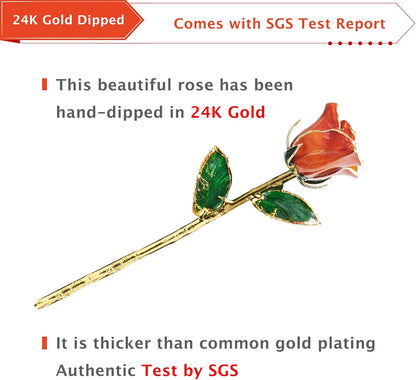 Gold Dipped Rose, 24K Gold Rose Made from Real Rose - Unique Design Gold Plated Rose for Anniversary Valentines Mothers Day Birthday Gifts (Orange Original with Crystal Vase)