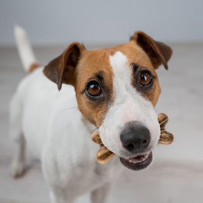 Dental Bones 30Ct for Small Dog