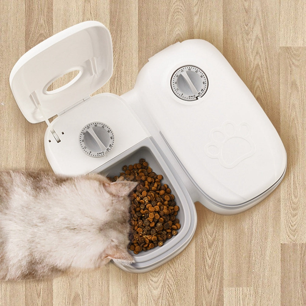 Smart Food Dispenser For Pet