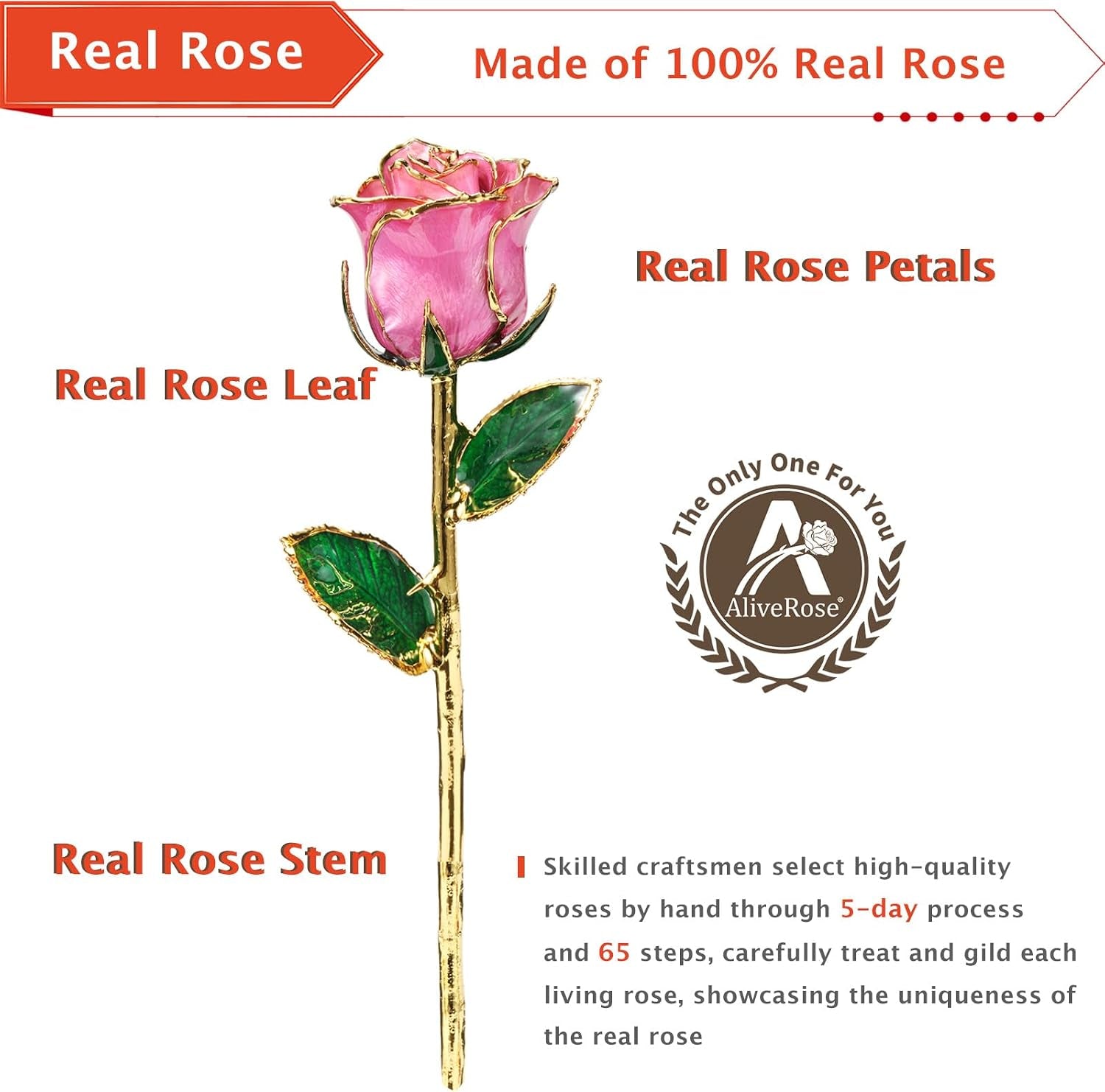 Roses, 24K Gold Rose Made from Real Rose - Unique Design Gold Plated Rose for Anniversary Valentines Mothers Day Birthday Gifts (Pink Original Rose with Stand)
