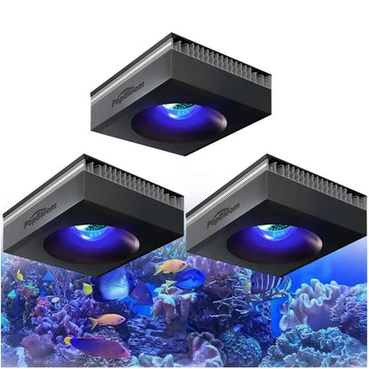PopBloom RL90 WiFi Reef Aquarium Light 100W, Professional Marine Aquarium LED Full Spectrum for Reef Coral SPS/LPS Fish Tank LED - 3 Lamp with hang kit / US Plug