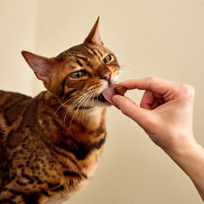 Hairball Chews Bacon Flavor, 60 Count