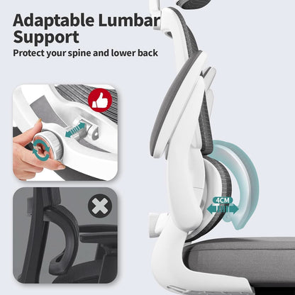 Ergonomic Office Chair