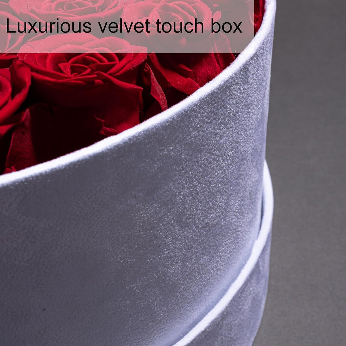 100 Preserved Roses in Velvet Box, Flowers for Delivery