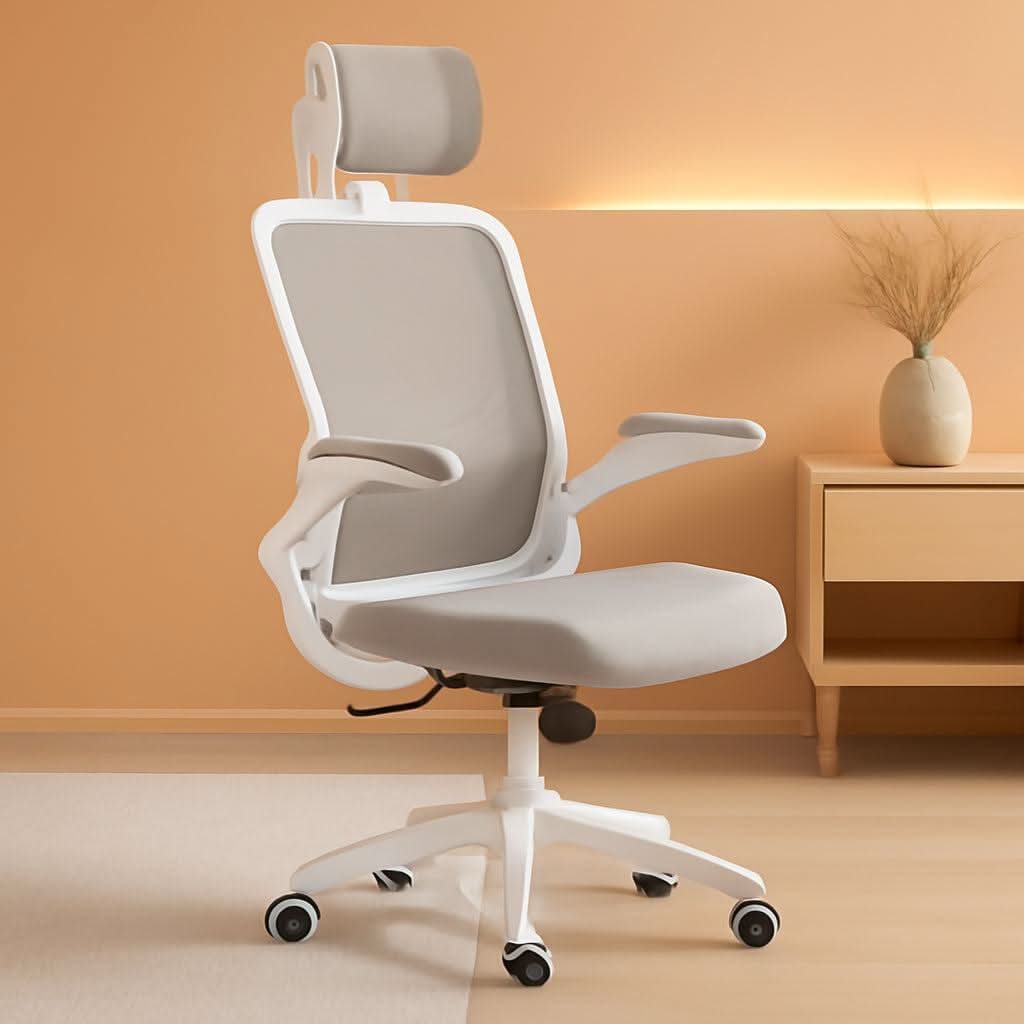 Ergonomic Office Chair