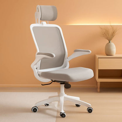 Ergonomic Office Chair