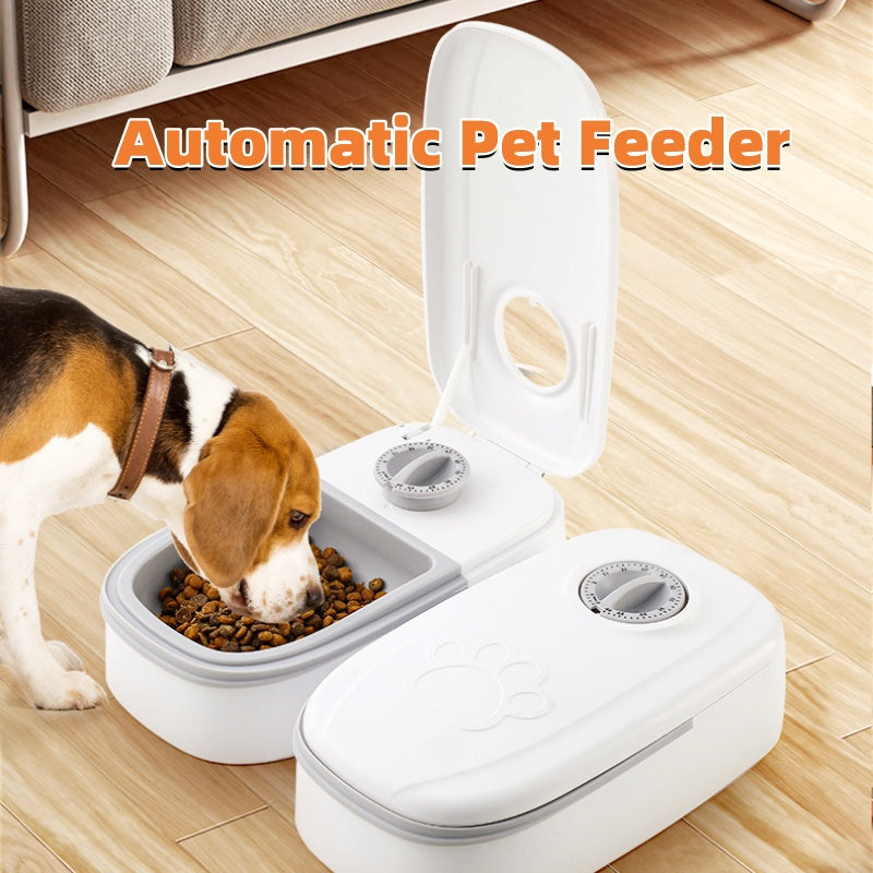 Smart Food Dispenser For Pet