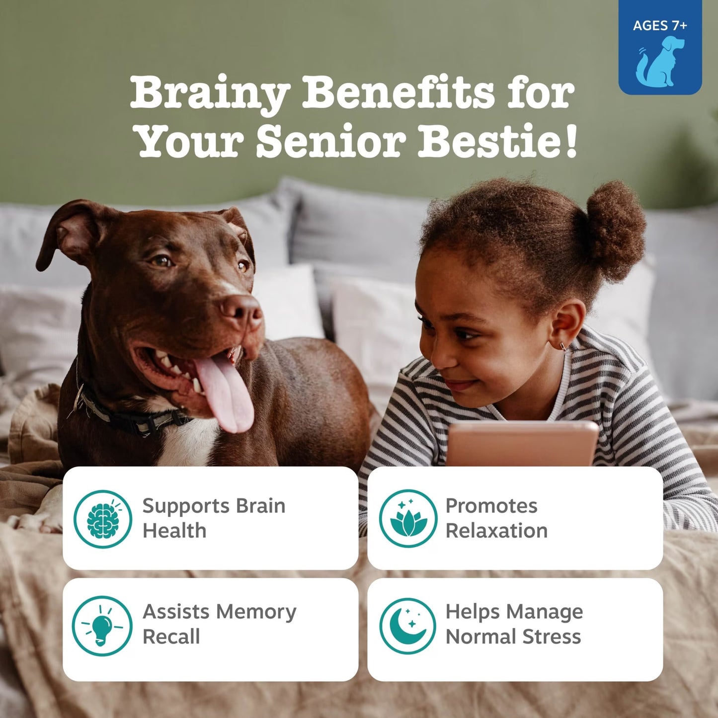 Senior Advanced Cognition Bites Chicken Flavor Dog Supplement, 90 Count