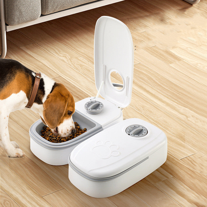 Smart Food Dispenser For Pet