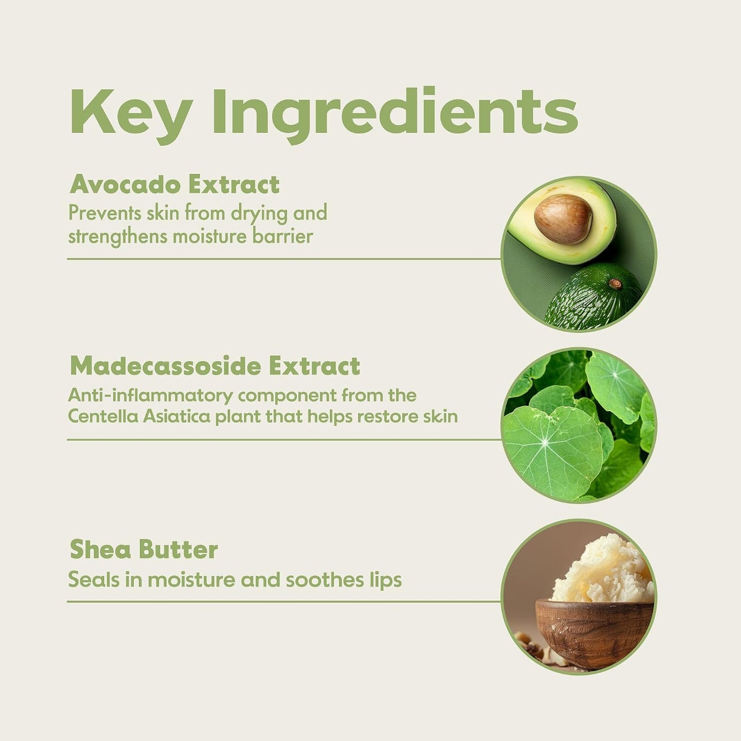 Avocado Cica Relief Vegan Lip Balm, Hydrating & Moisturizing Organic Korean Lip Balm Made with Shea Butter & Centella Asiatica for Soft & Smooth Lips (0.33 Fl Oz)