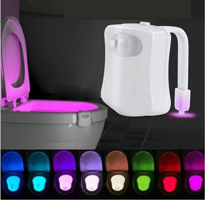 Toilet Induction LED Night Light - Zayd’s Department Store
