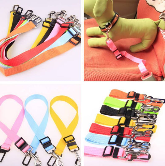 Fixed Strap Polyester Dog Strap Dog Leash Dog Leash - Zayd’s Department Store
