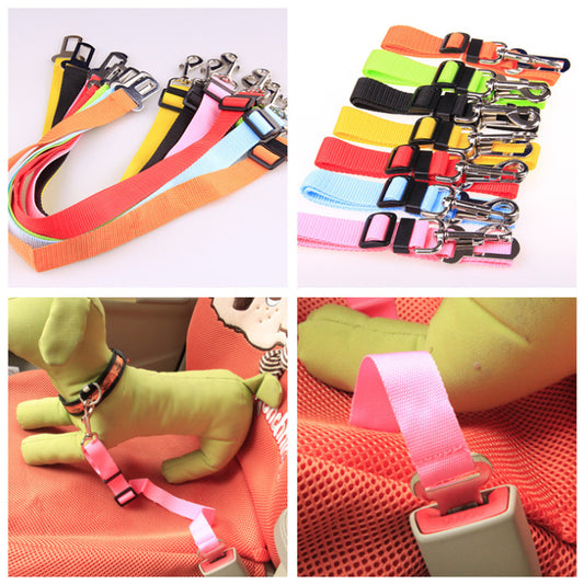 Fixed Strap Polyester Dog Strap Dog Leash Dog Leash - Zayd’s Department Store