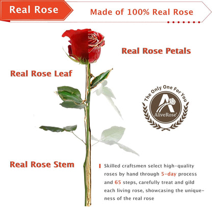 Valentines Day Gifts for Her - 24K Gold Rose Made from Real Rose, Unique Design Gold Plated for Anniversary (Red Original with Stand) - Zayd’s Department Store